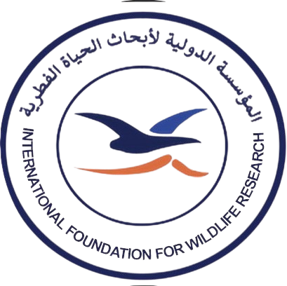 عميل جديد